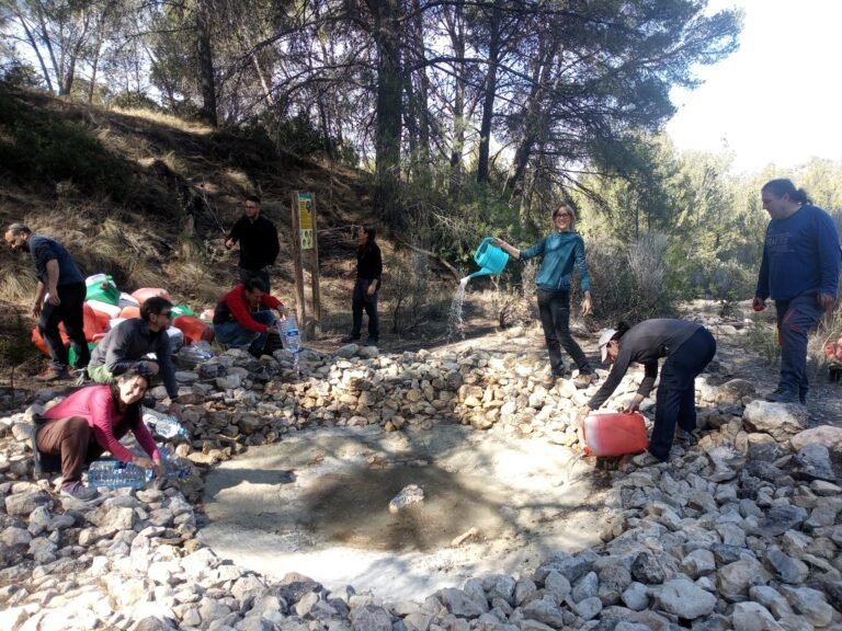 WhatsApp Image 2024-03-05 at 19.28.50 (2)