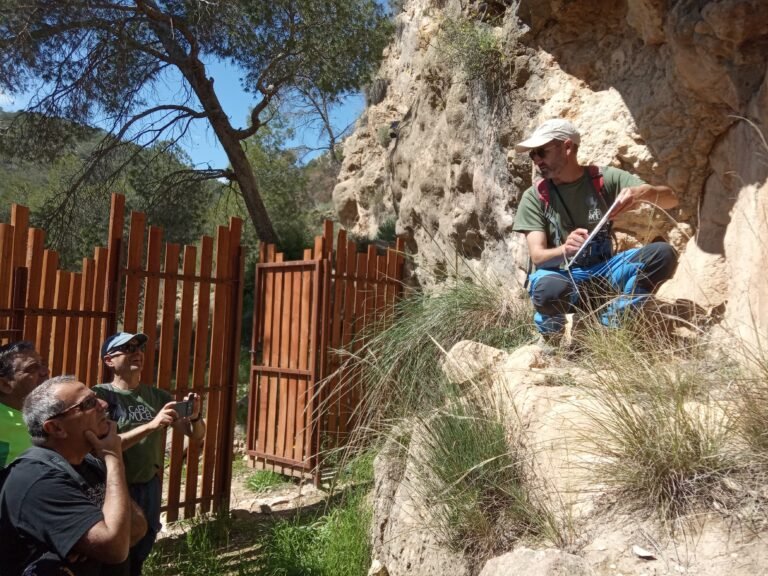 WhatsApp Image 2026-04-17 at 18.24.03