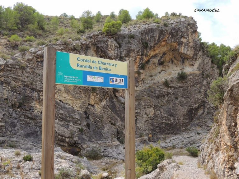 8marzo2015_caramucel12